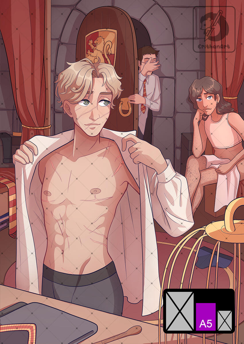 Sirius, Remus y James en la habitación (Marauders)